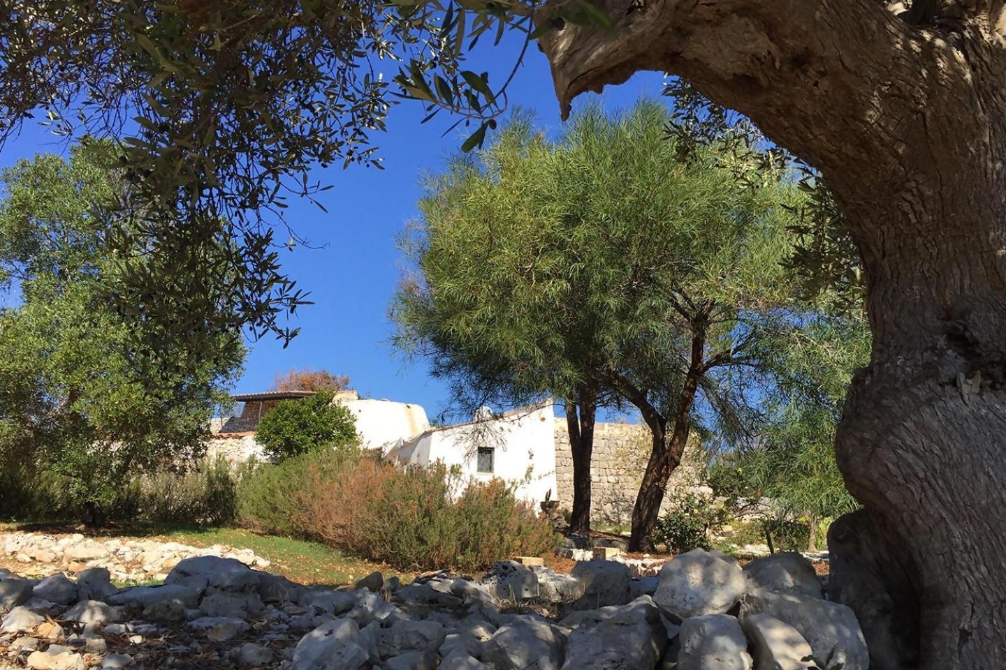 Feudo Frammasi Bracchio Salve Exterior foto